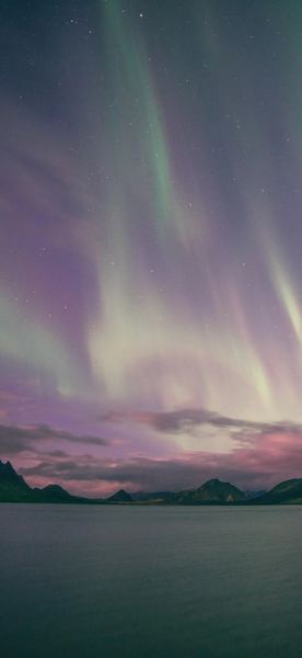 二胎家庭怎么平衡关注？心理学教你正确应对 —— 原生家庭必读