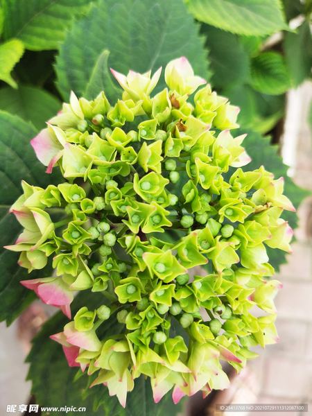 【独处心理学】追女生发什么消息比较好：3个技巧让你不再反复纠