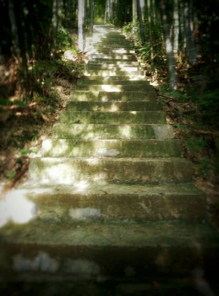 【童年创伤】读什么书可以提升自己背后的心理学原理，看完就明白了