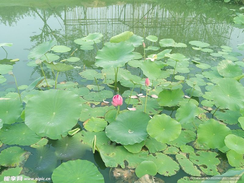 全职妈妈焦虑怎么缓解？心理专家一针见血的分析 —— 两性心理