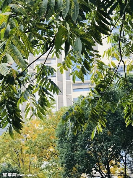 前任找你是想复合还是暧昧？可能你一直理解错了