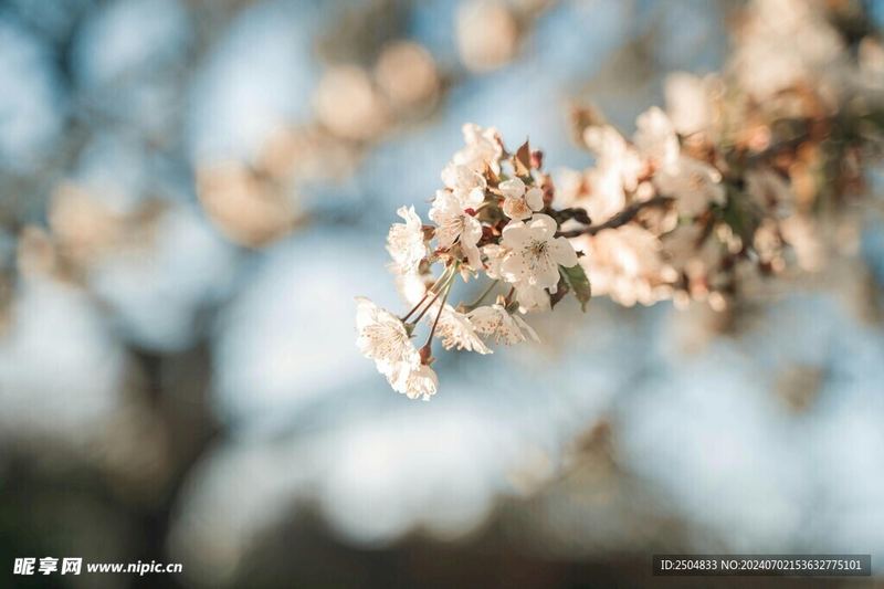 独处心理学 | 追女生发什么消息比较好自救手册：从今天开始改