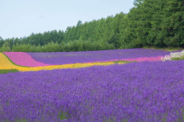 人到中年上有老下有小的感悟？看完这篇你会豁然开朗 —— 爱情
