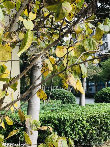 情感禁忌 | 越来越不想社交？你可能需要的不是更多朋友，而是更好的边界感