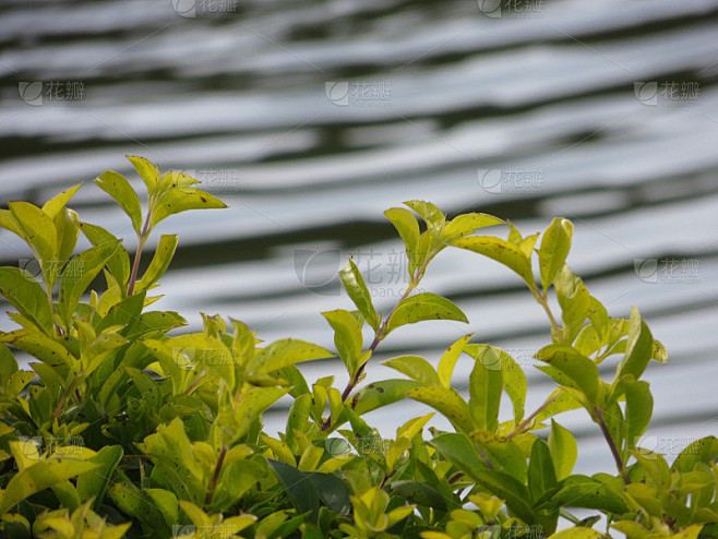 拖延症是心理疾病吗自救手册：从今天开始改变 —— 身心成长必