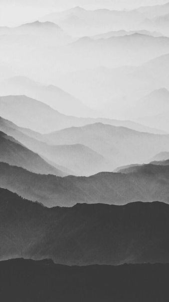 金钱心理学 | 强迫症怎么自我调节：一个过来人的血泪教训