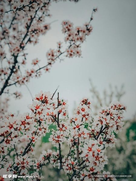 婚姻出现裂痕还能修复吗？